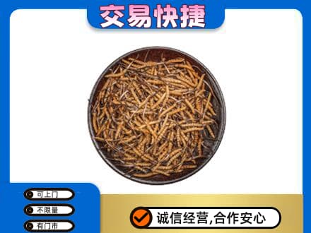 珠海金湾区高价回收散虫草